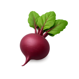 beet root