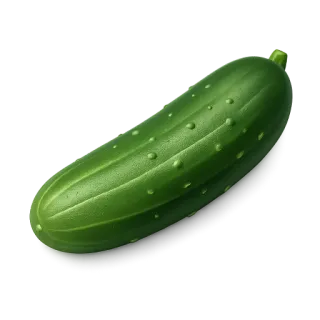 cucumber