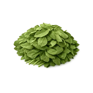 fenugreek leaves